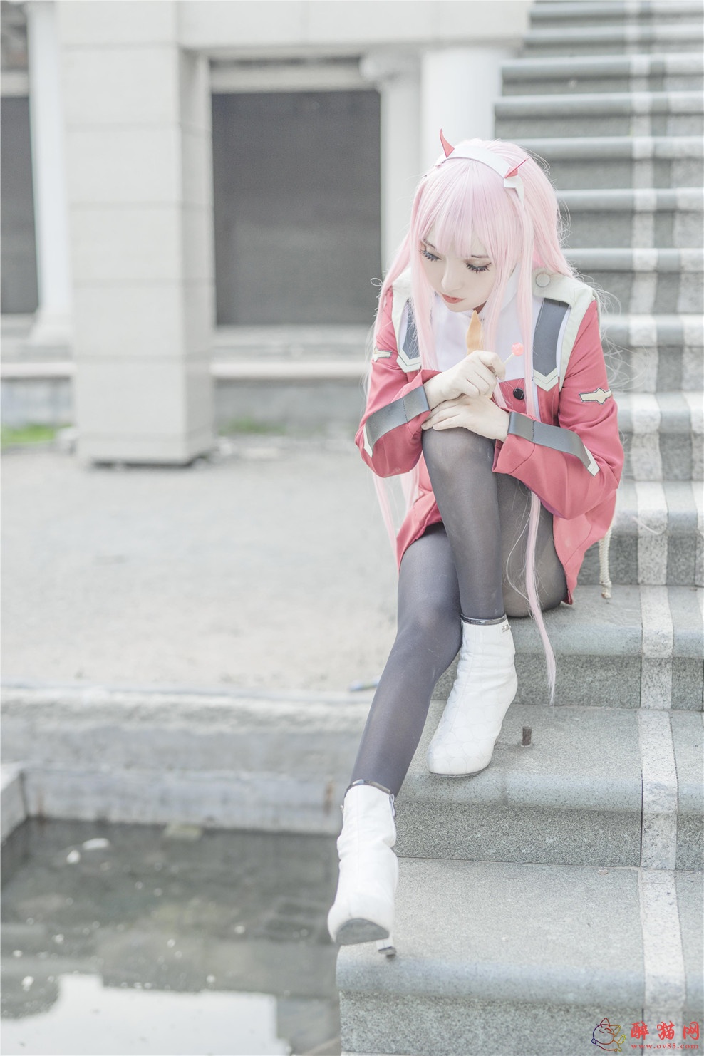 斯文文文文_ DARLING IN THE FRANXX-醉猫网 - 专注于美图分享-www.ov85.com