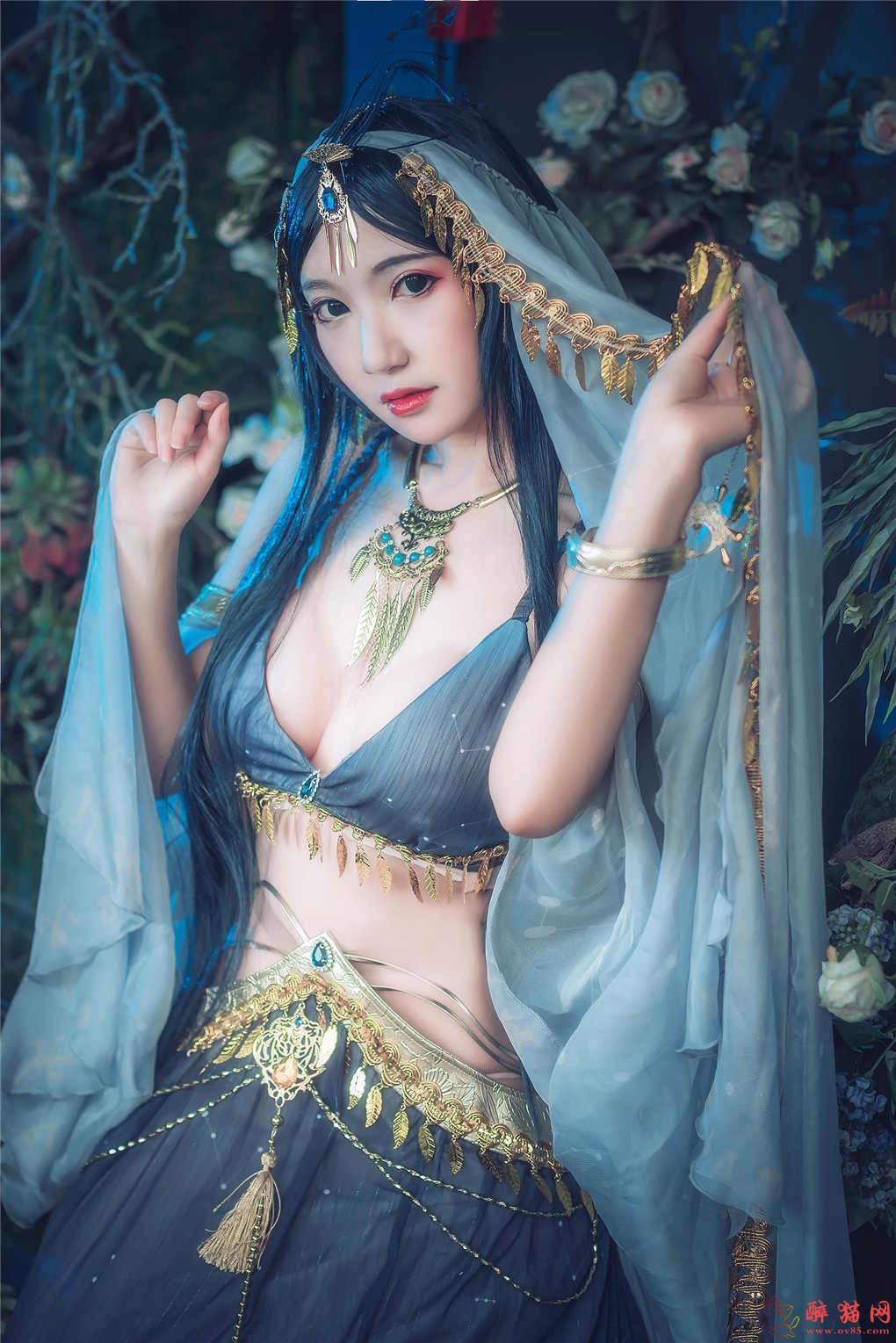 许多鱼鱼鱼-羽衣曲蓝凤冠鸠-醉猫网 - 专注于美图分享-www.ov85.com